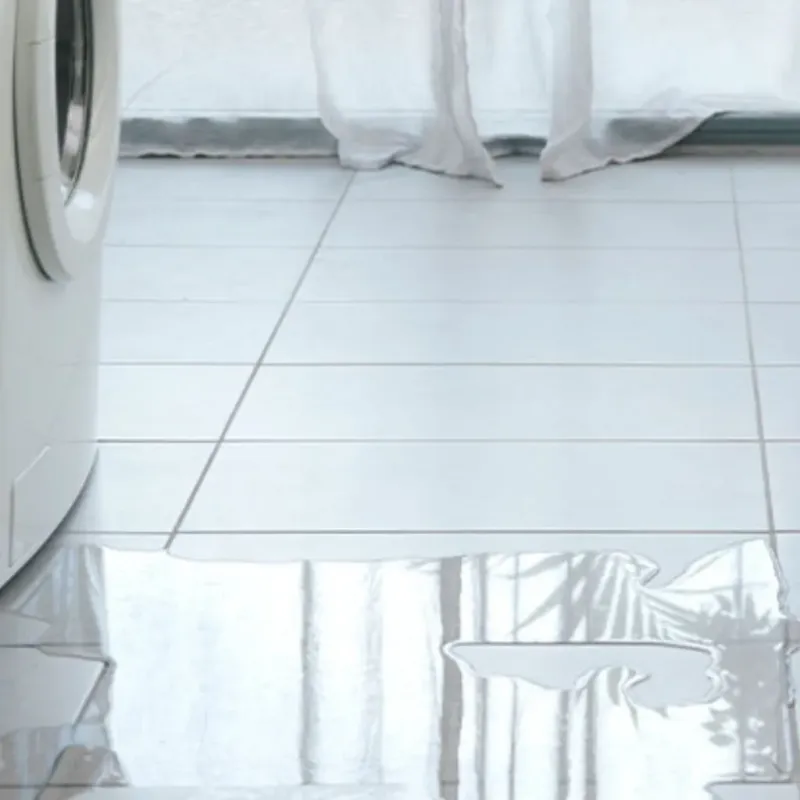 Appliance Leak Cleanup in Lakeland North, WA